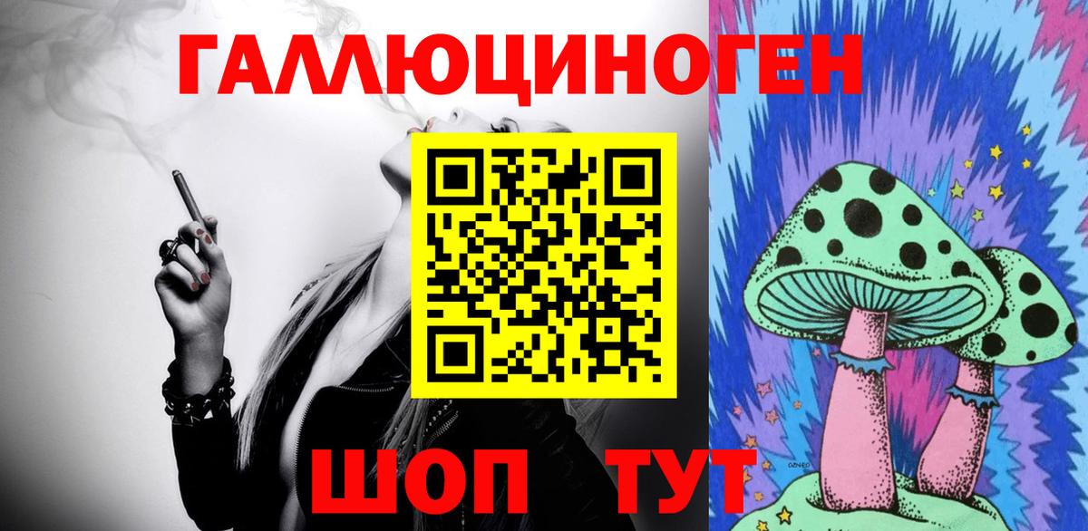 Дубна  Псилоцибиновые грибы MAGIC MUSHROOMS  Вход с VPN 