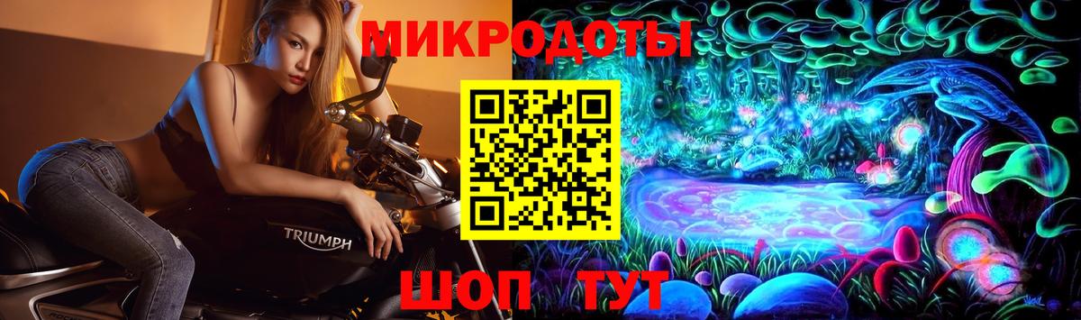 Псилоцибиновые грибы прущие грибы Дубна